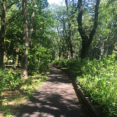 TAMAKO-LAKE CYCLING ROAD, 20-km long beautiful lane specially maintained for cycling.
