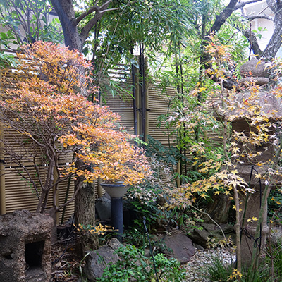 The rock garden in late autumn